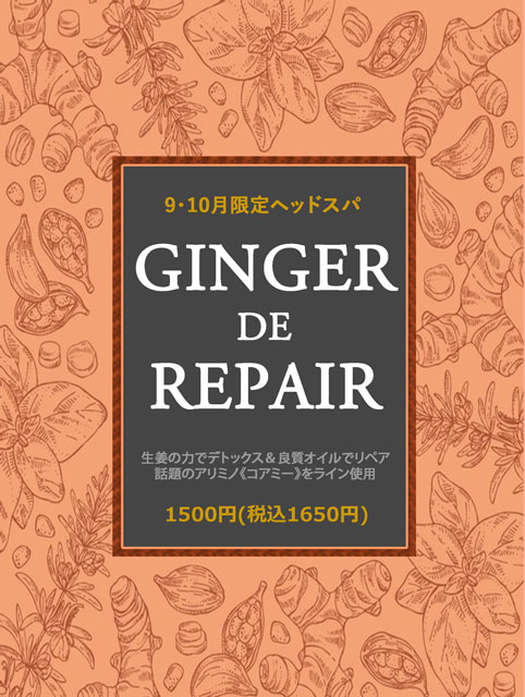 GINGER-DE-REPAIR.jpg