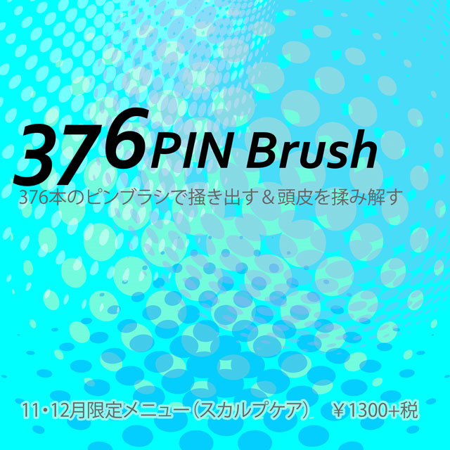 376pinBrush.jpg