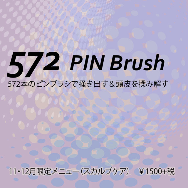 572pinBrush.jpg