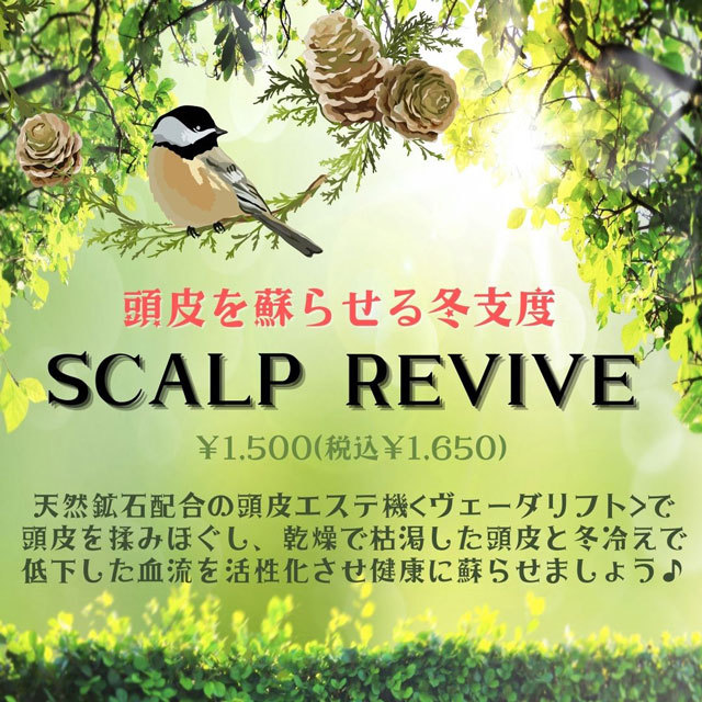 Scalp-revive-(2).jpg
